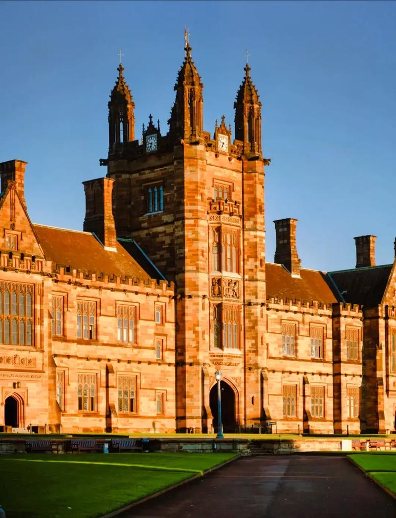 密歇根州立大学